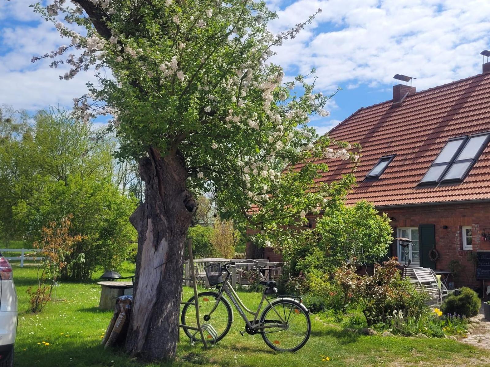 Seminar Und Landhaus Schoenbeck Schonbeck  Kültér fotó