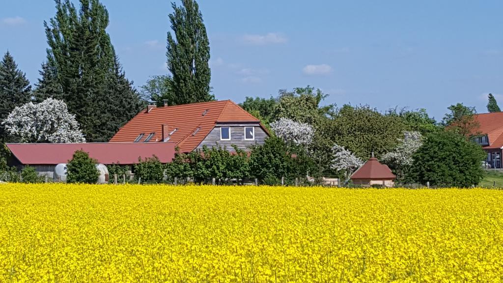 Seminar Und Landhaus Schoenbeck Schonbeck  Kültér fotó